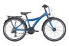 FALTER FX 421 PRO power blue 34 cm