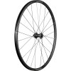 Bontrager Vorderrad Bontrager Paradigm TLR Disc 12T Black/Gr