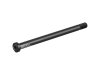 Electra Skewer Bontrager Thru 12 x 174mm Axle Length Black